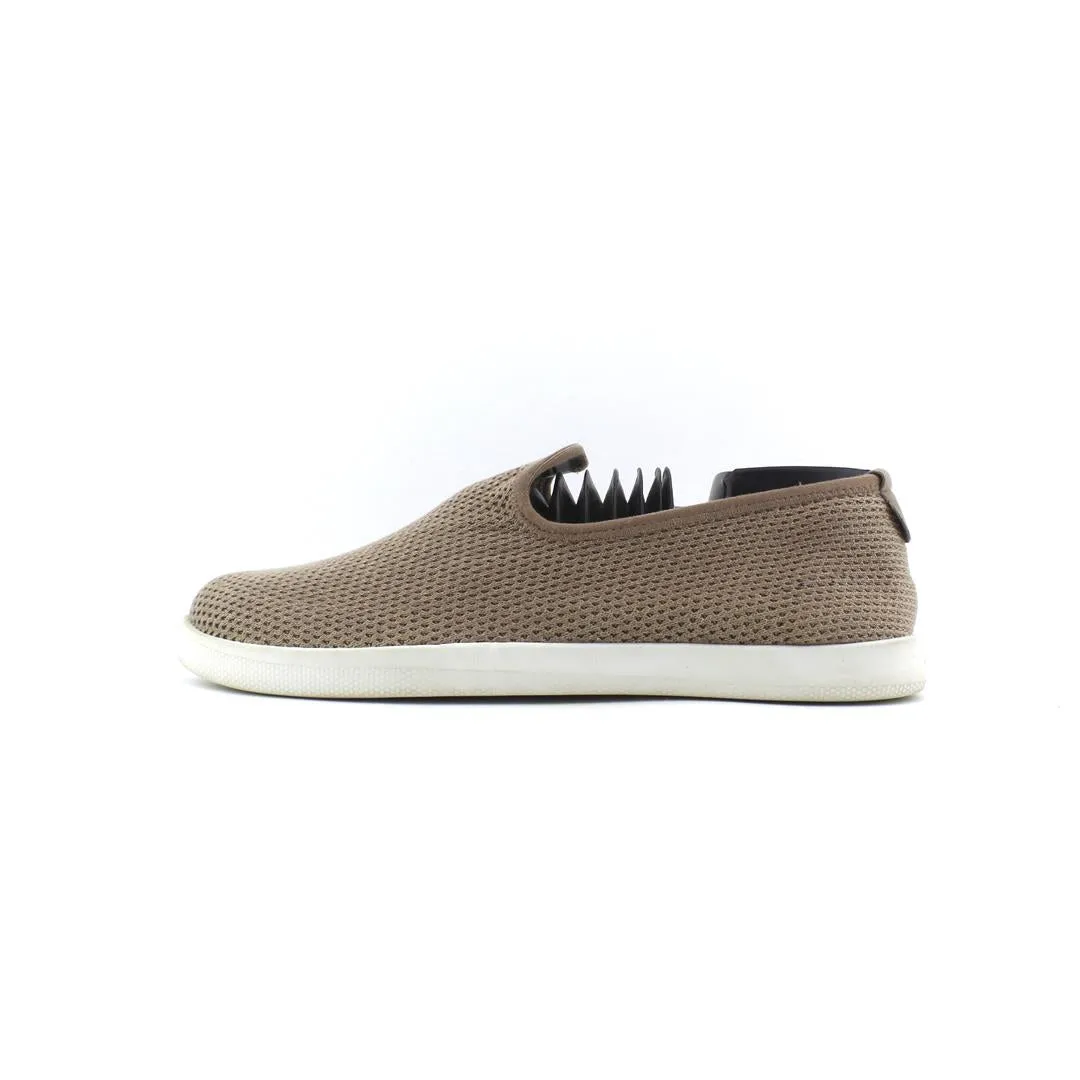 ALLBIRDS TREE RUNNER