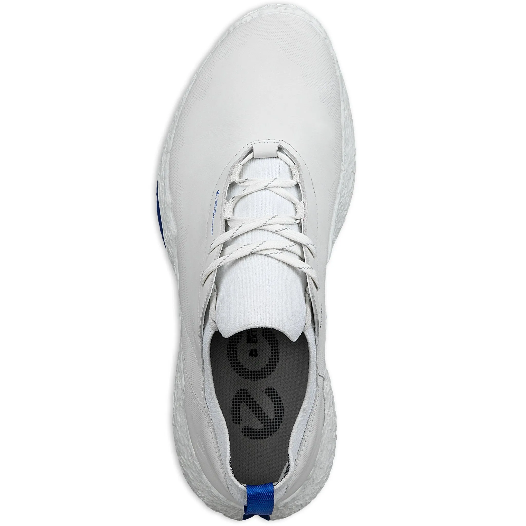ECCO Biom H5 Golf Shoes